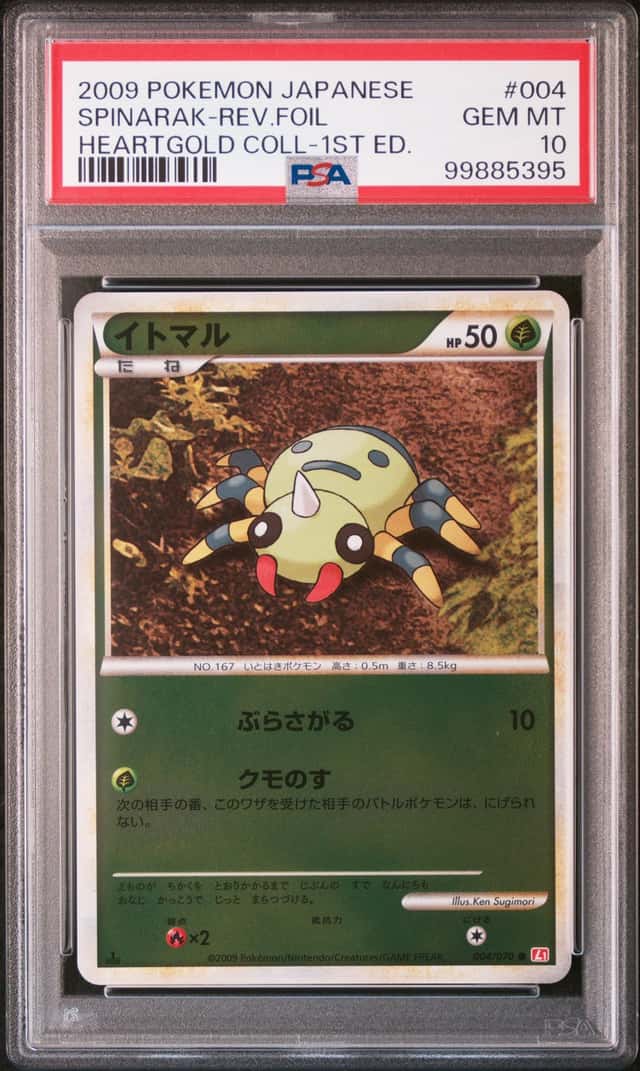 SPINARAK-REV.FOIL