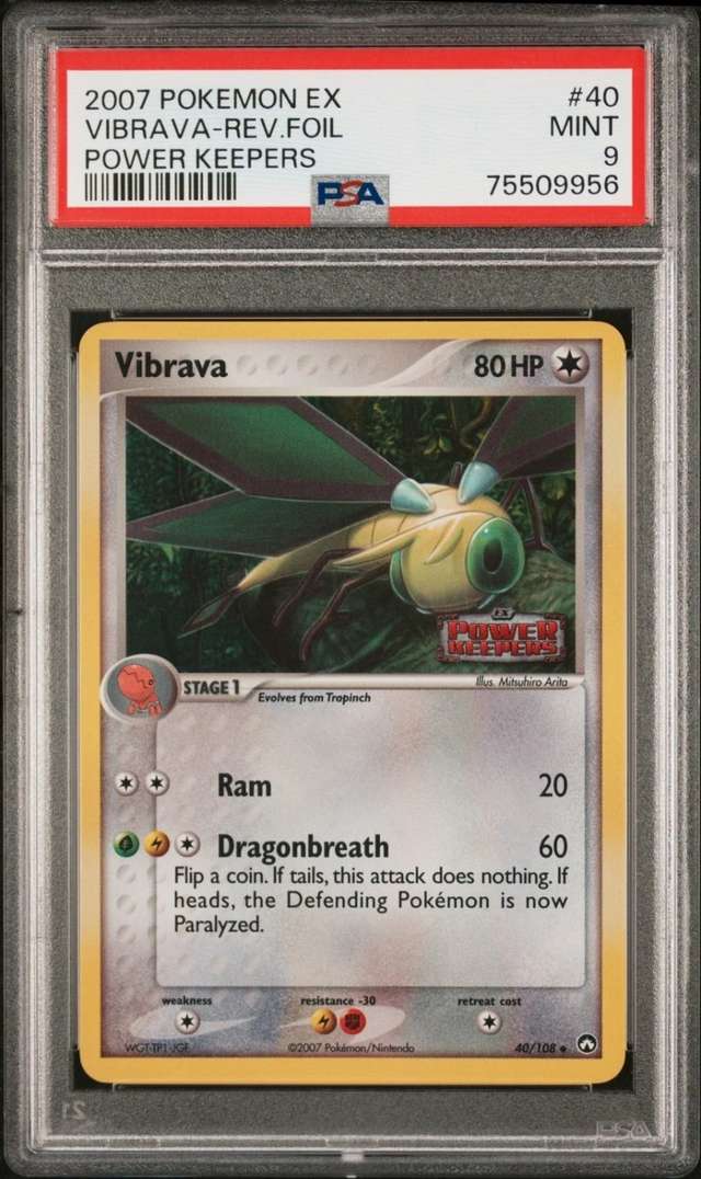 Vibrava