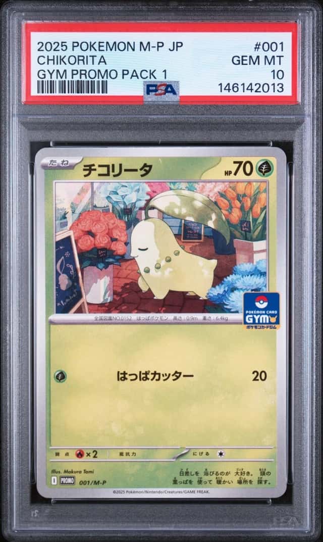 Chikorita
