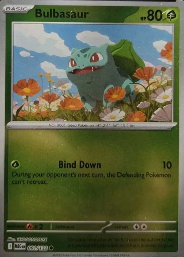 Reverse Holo
