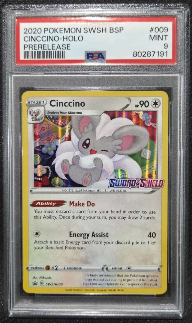 Cinccino