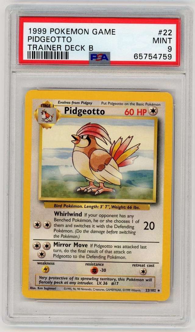 PIDGEOTTO
