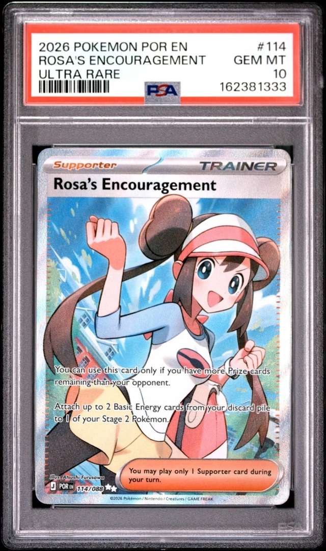 Rosa's Encouragement