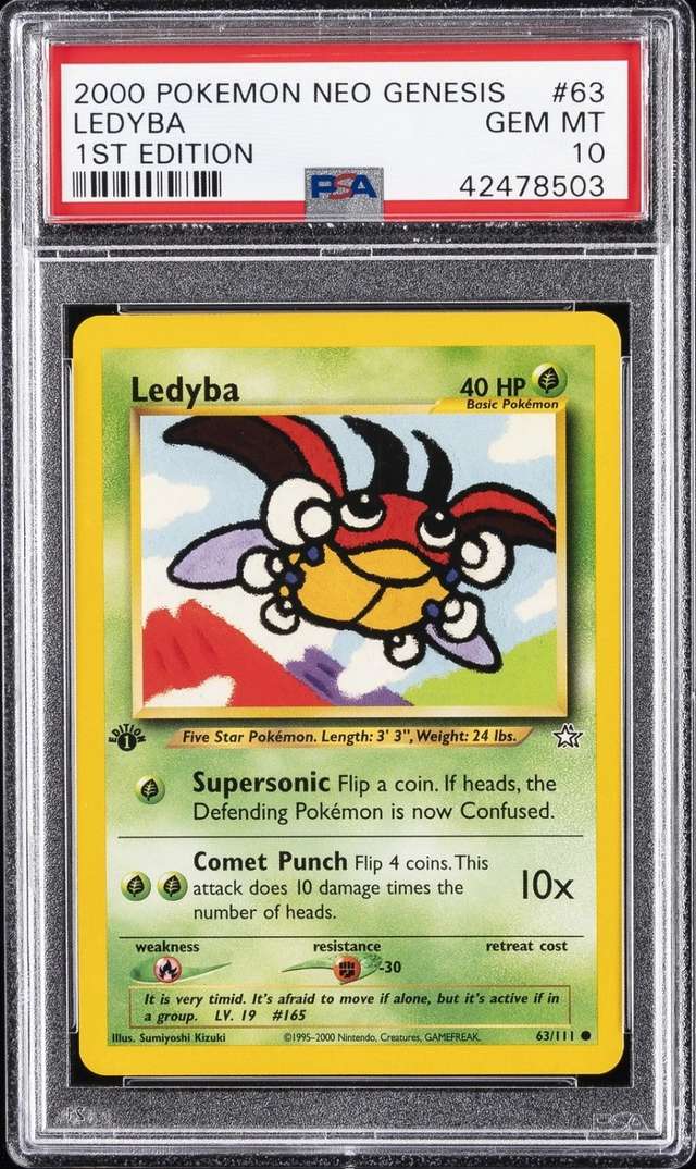 Ledyba
