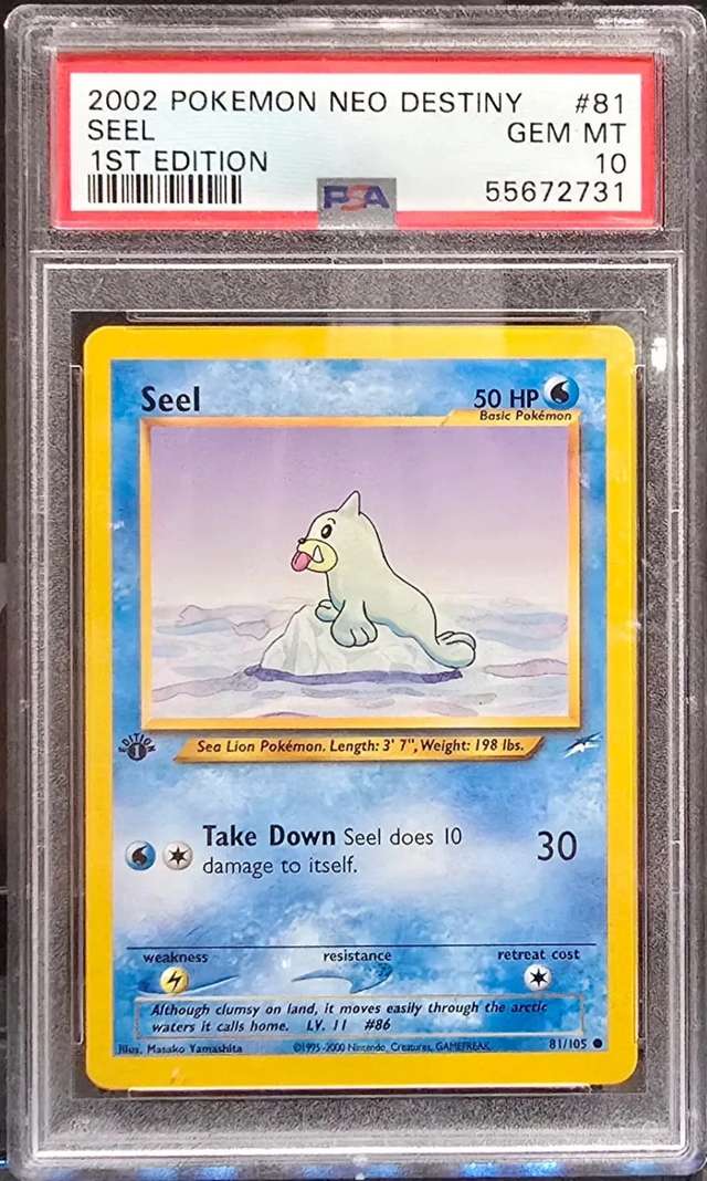Seel