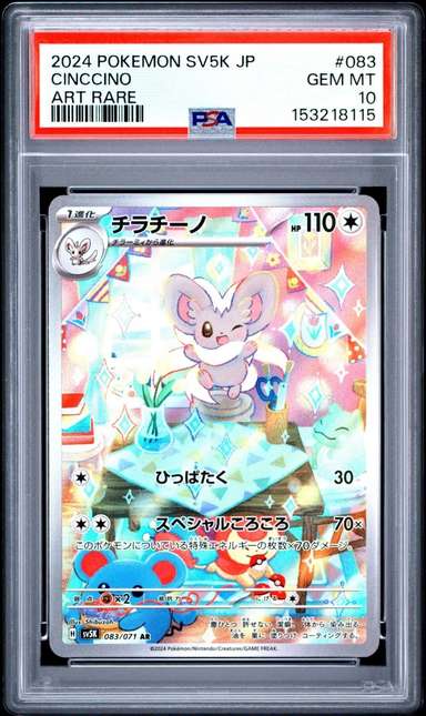 Cinccino
