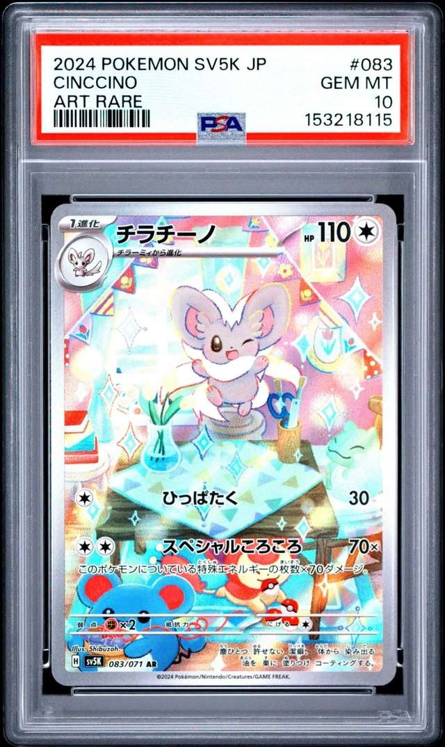 Cinccino