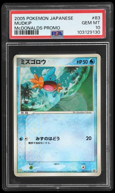 Mudkip