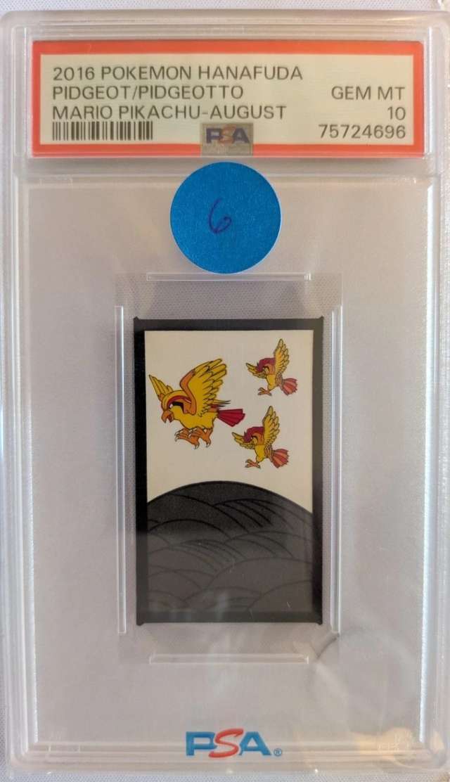 Pidgeot/Pidgeotto