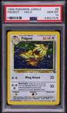 Pidgeot