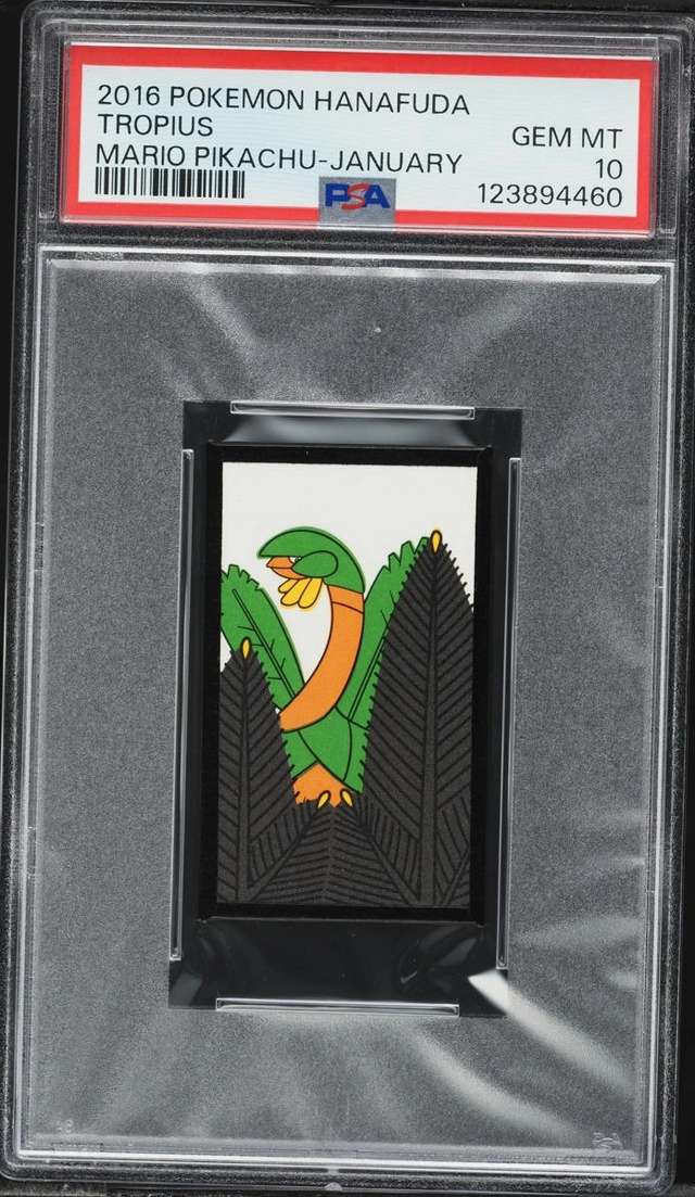Tropius