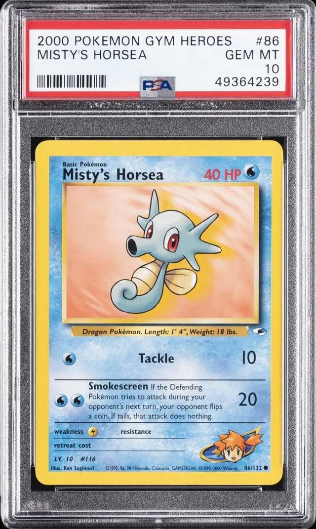 MISTY'S HORSEA