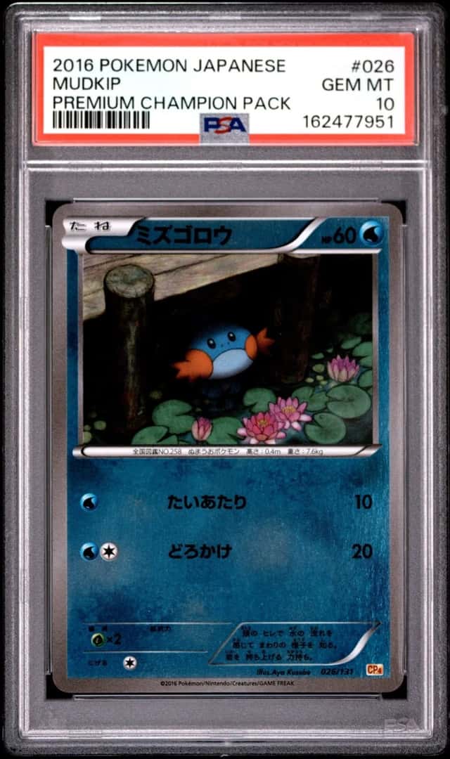 Mudkip