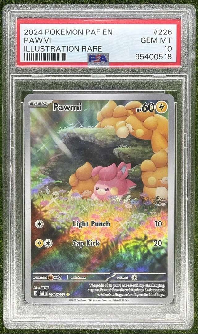Pawmi