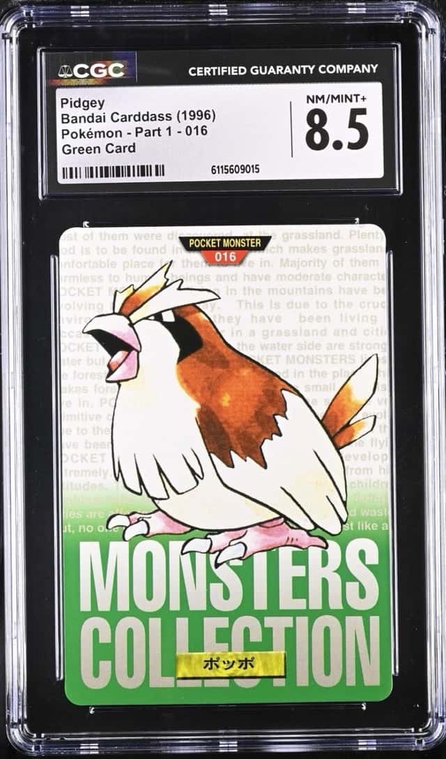 Pidgey