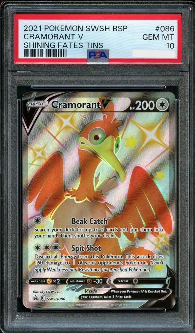 Cramorant V