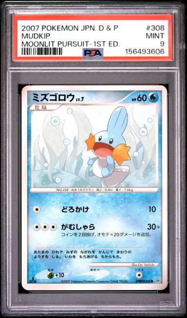 Mudkip