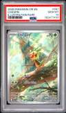 Chespin