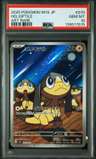 Helioptile