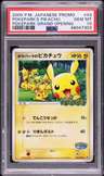 Pokepark'S Pikachu