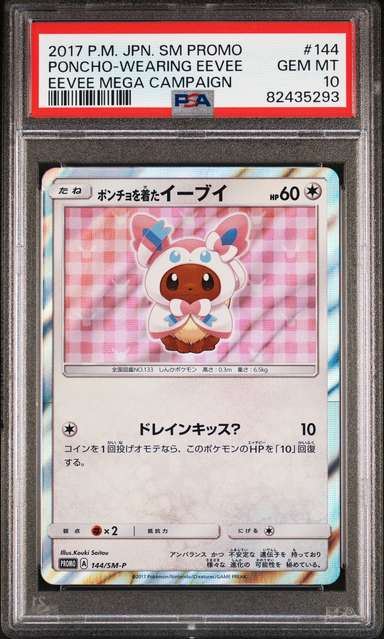 Poncho-Wearing Eevee