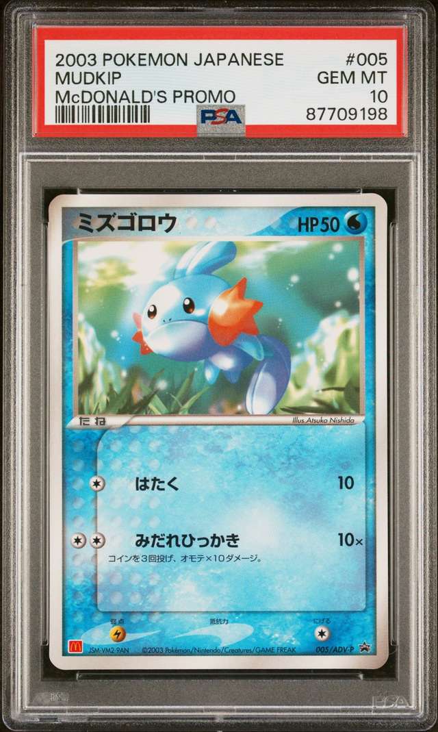 Mudkip