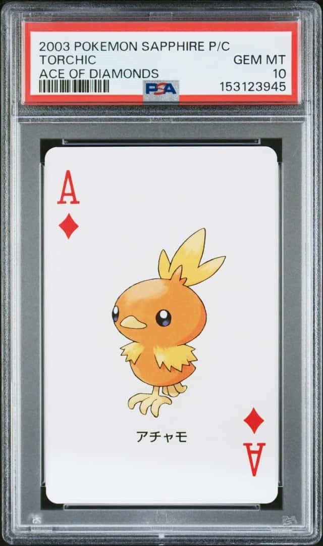 Torchic