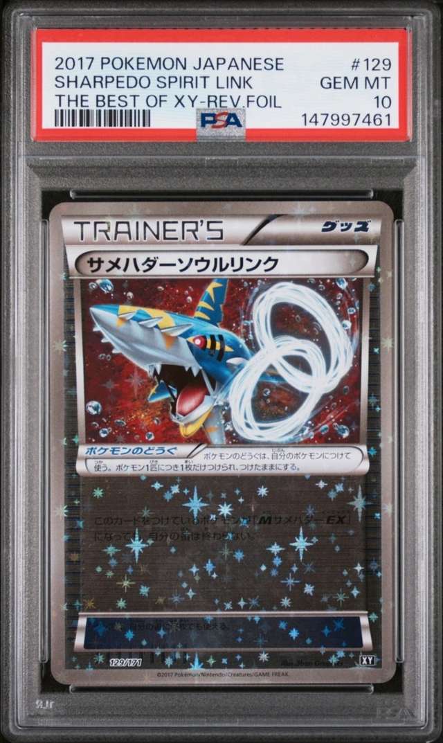 Sharpedo Spirit Link