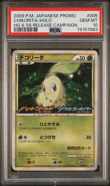 Chikorita