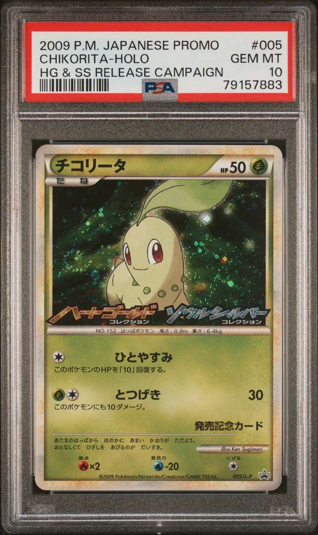 Chikorita