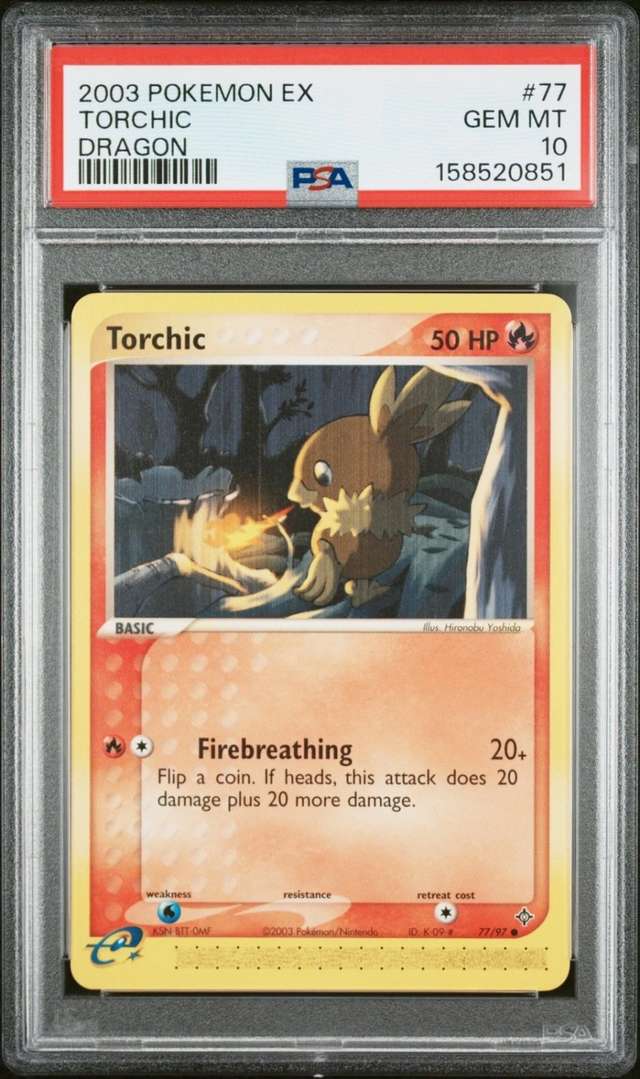 Torchic Dragon