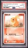 Torchic