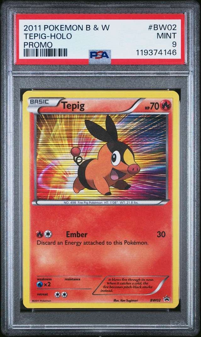 Tepig