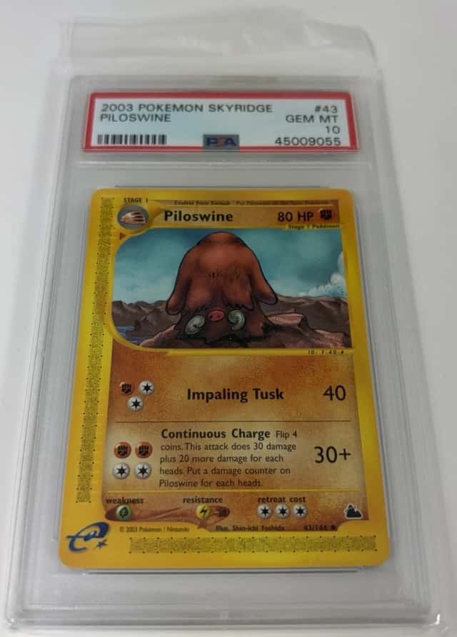 Piloswine