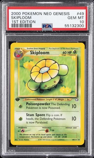 Skiploom