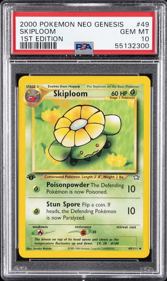 Skiploom
