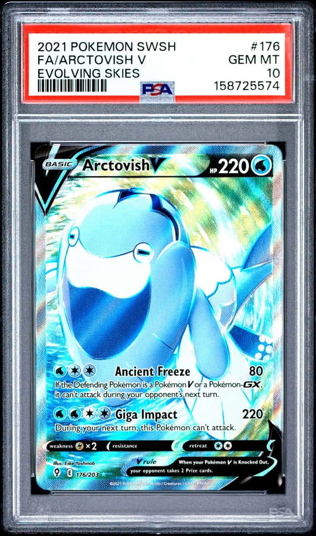 Arctovish V