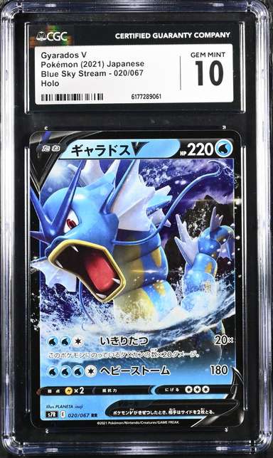 Gyarados V