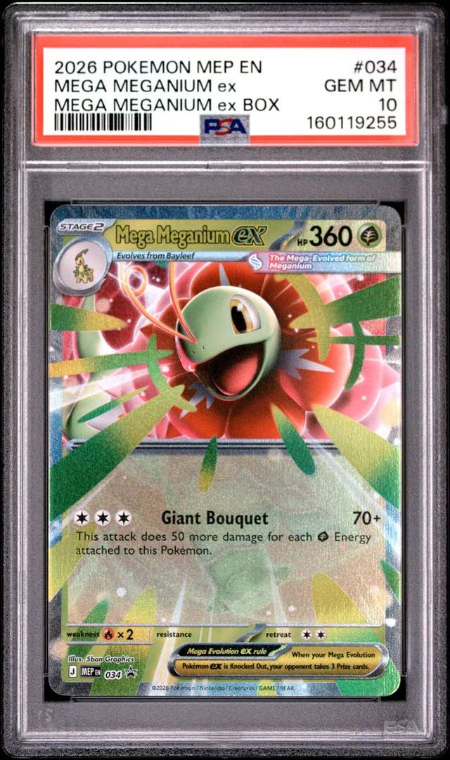 MEGA MEGANIUM ex