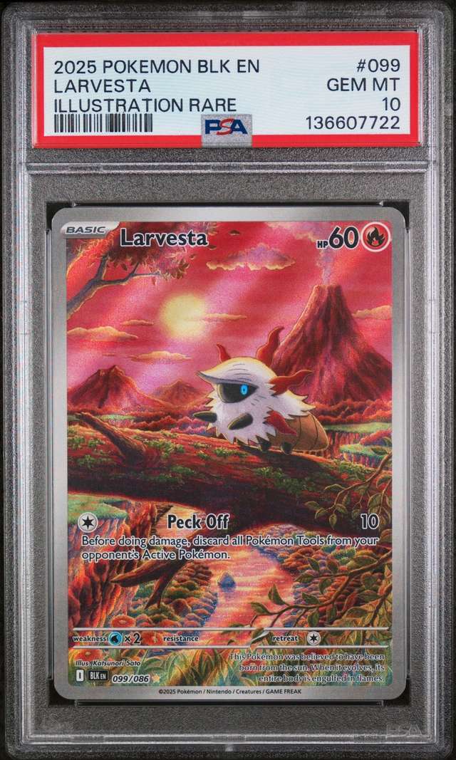 Larvesta