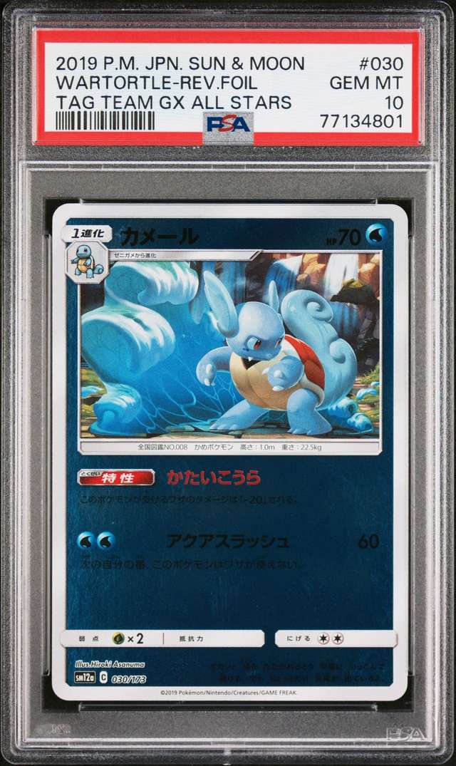 WARTORTLE-REV.FOIL