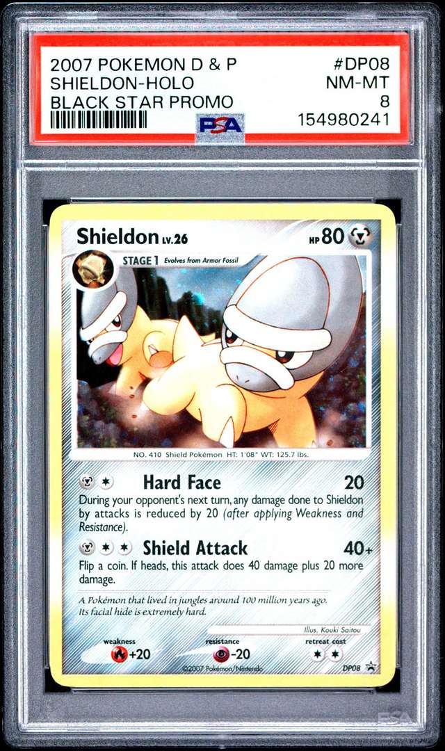 Shieldon