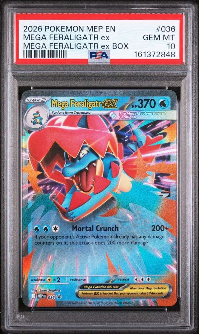 MEGA FERALIGATR ex