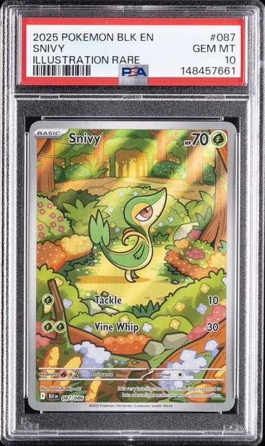 Snivy