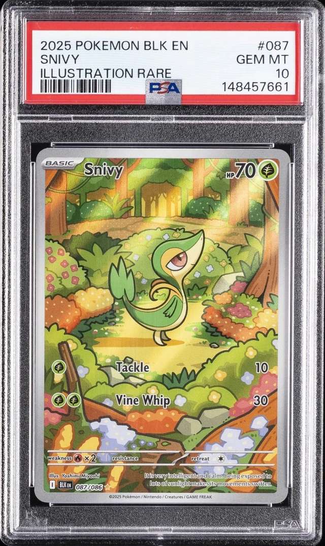 Snivy