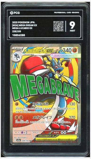 MEGA LUCARIO ex