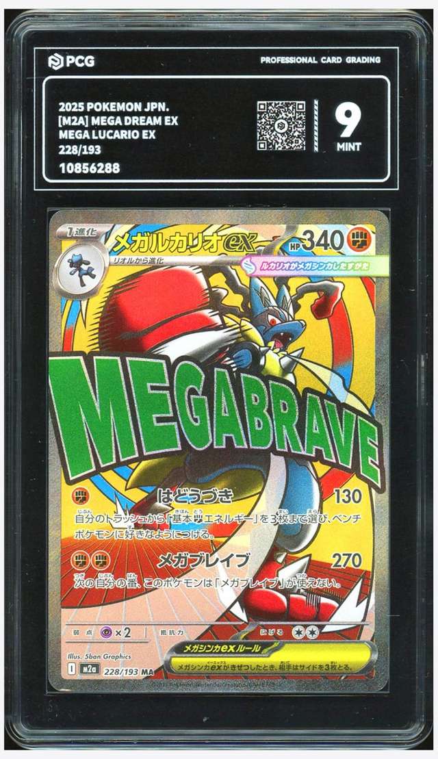 MEGA LUCARIO ex