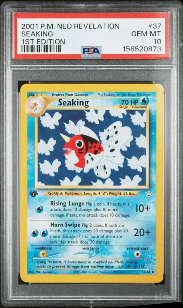 Seaking