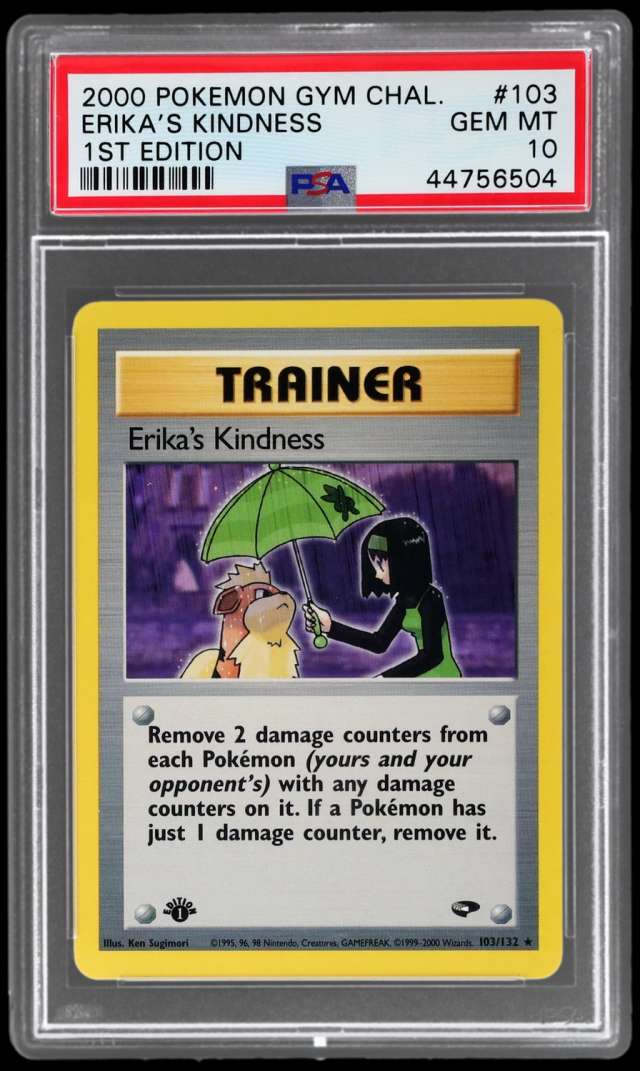 Erika's Kindness