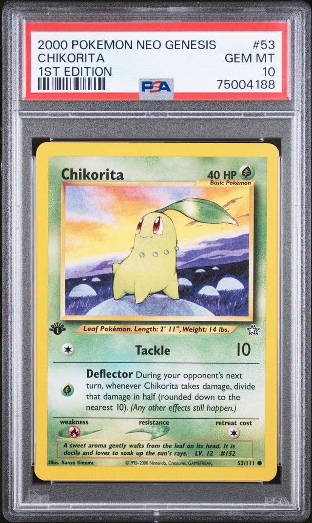 Chikorita